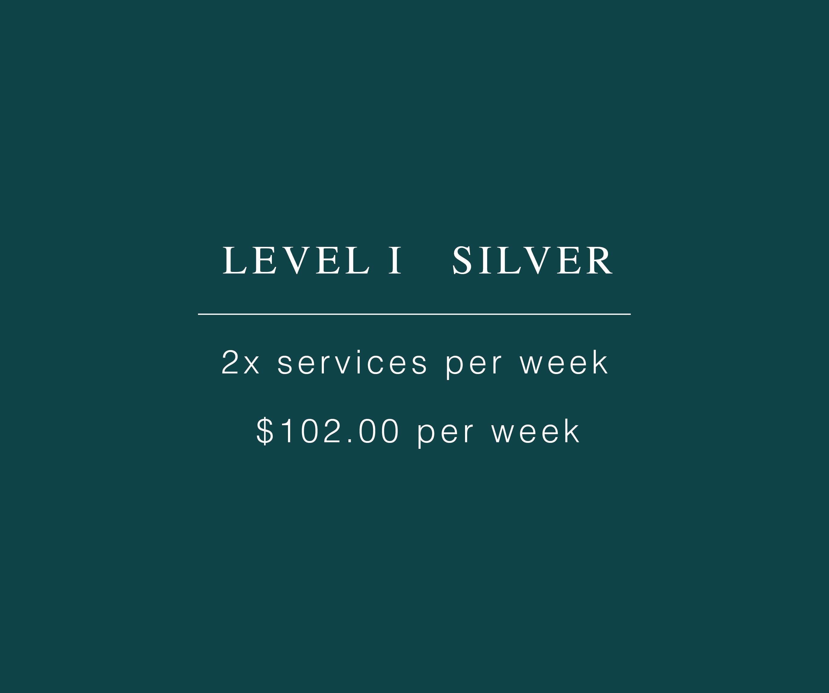LEVEL I - SILVER MEMBERSHIP