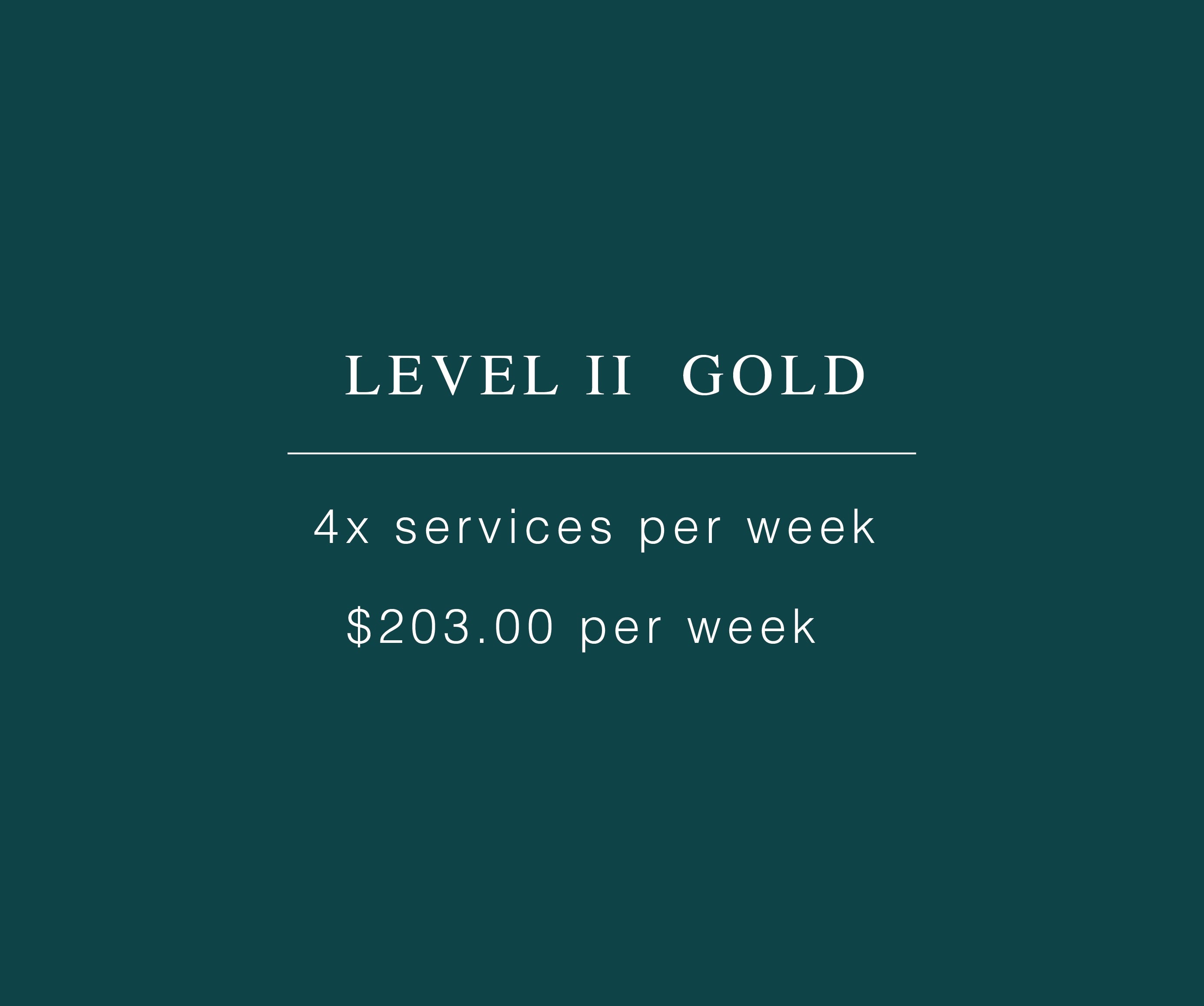 LEVEL 2 - GOLD MEMBERSHIP